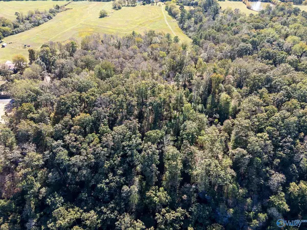 Dutton, AL 35744,Lot 4 County Road 224