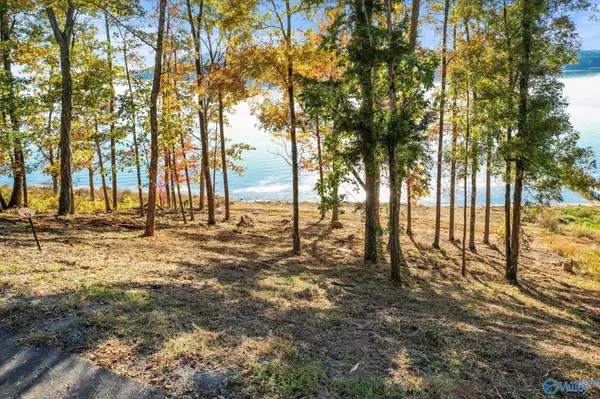 572 Reserve Drive, Guntersville, AL 35976