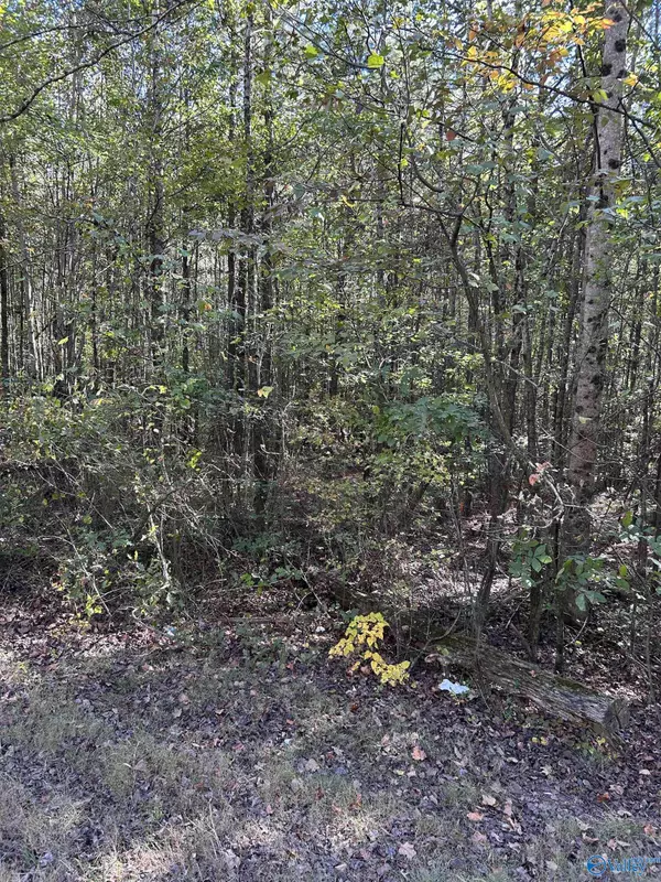 3.31 Acres Alabama Highway 68 W, Sand Rock, AL 35983