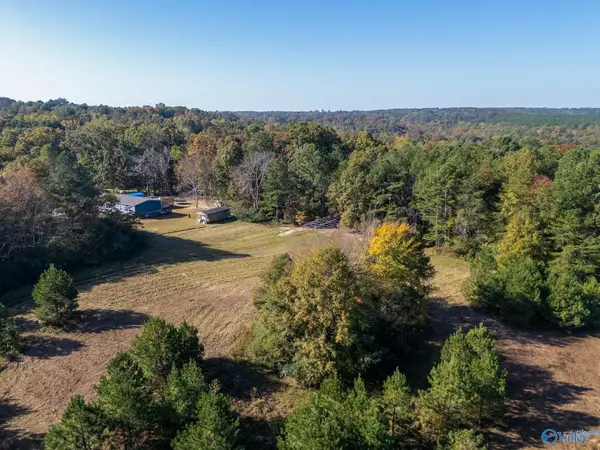 595 County Road 1281, Falkville, AL 35622