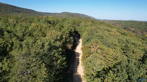 Gadsden, AL 35901,333-A Owens Switch Road