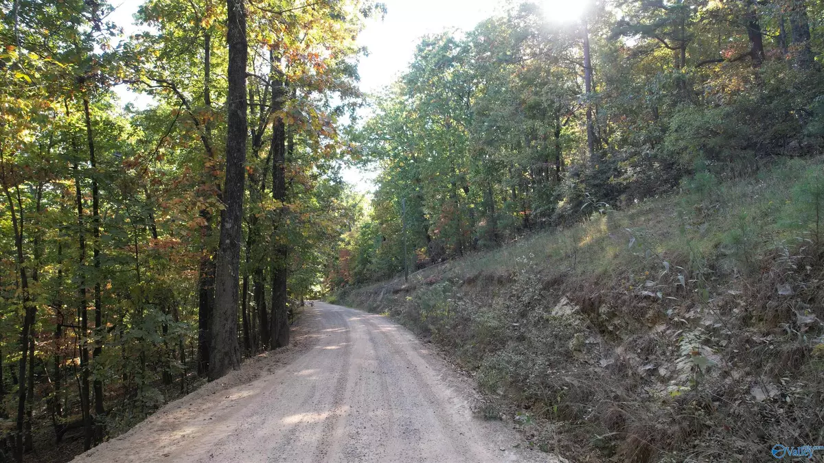 Gadsden, AL 35901,333-A Owens Switch Road