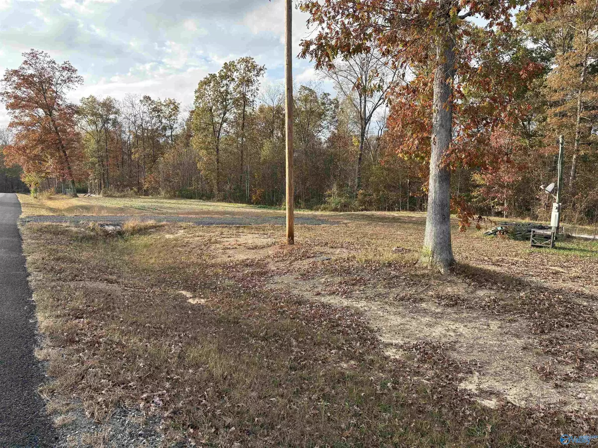 Flat Rock, AL 35966,1230 County Road 118