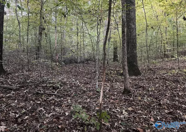 Scottsboro, AL 35769,2.71 AC Scottsboro Hwy 79