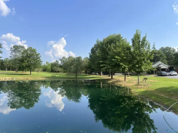 Cedar Bluff, AL 35959,1020 County Road 92