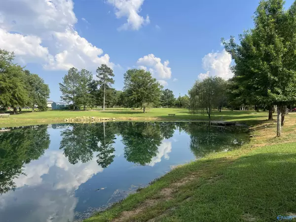 Cedar Bluff, AL 35959,1020 County Road 92