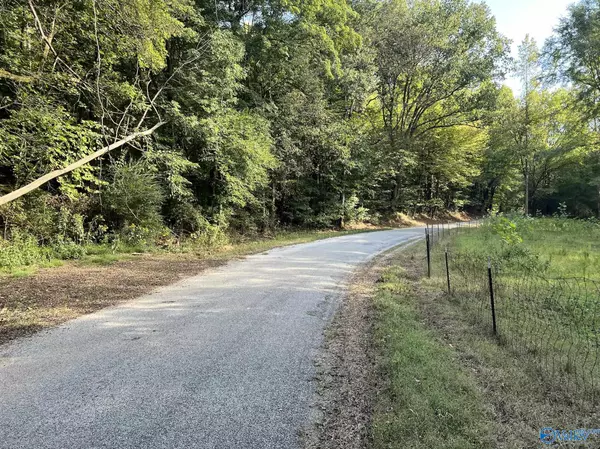 002 and 003 Chapman Hollow Road, Elkmont, AL 35620