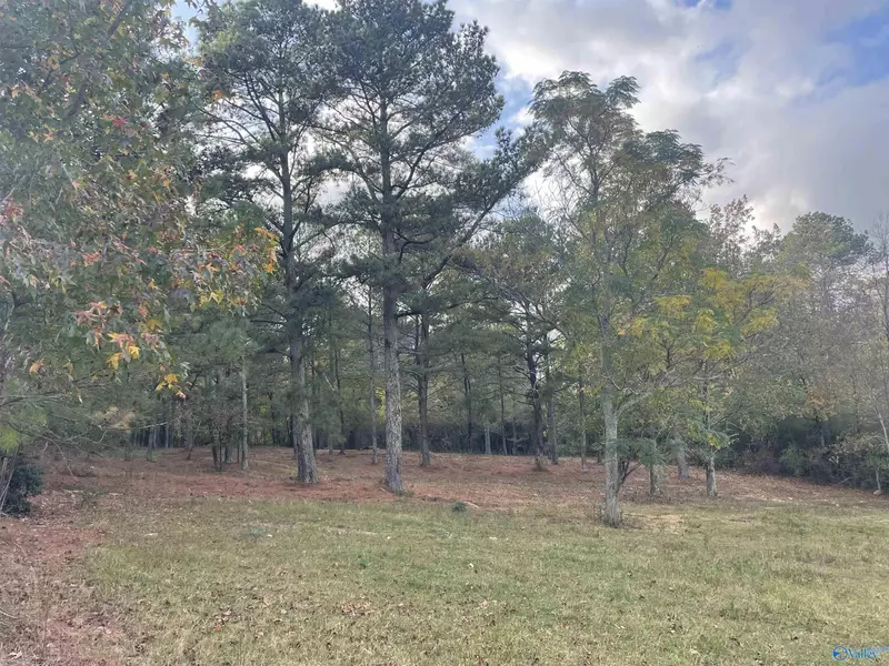 1 Acre Pleasant Hill Church Road, Boaz, AL 35956