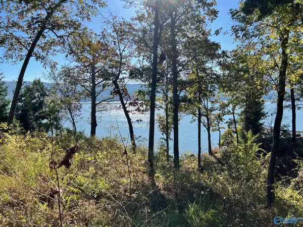 lot 252 Lookout Mountain Drive, Scottsboro, AL 35769