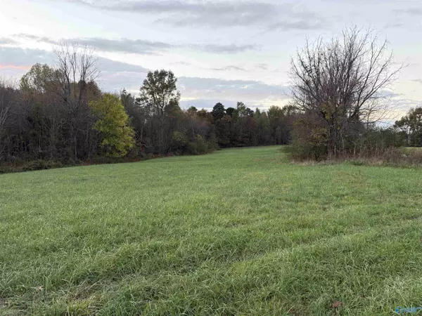 Ider, AL 35981,7.81 County Road 788