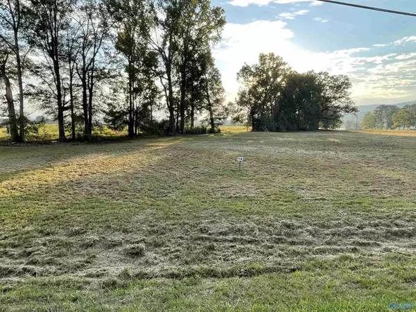 1078 Lake Forest Drive W, Southside, AL 35907