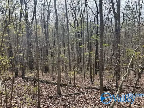 Eva, AL 35621,39 Fort Bluff Road