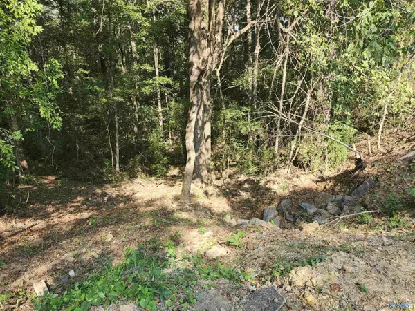 Fultondale, AL 35068,1929 Kennedy Street