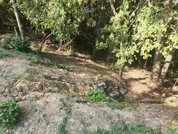 Fultondale, AL 35068,1929 Kennedy Street