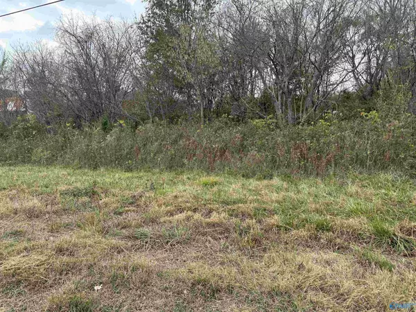 Ider, AL 35981,2.44 ac Alabama Highway 75