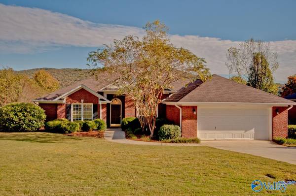 2314 Little Cove Road, Owens Cross Roads, AL 35763