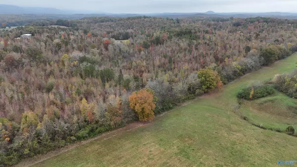 Jamestown, AL 35973,01 County Road 921
