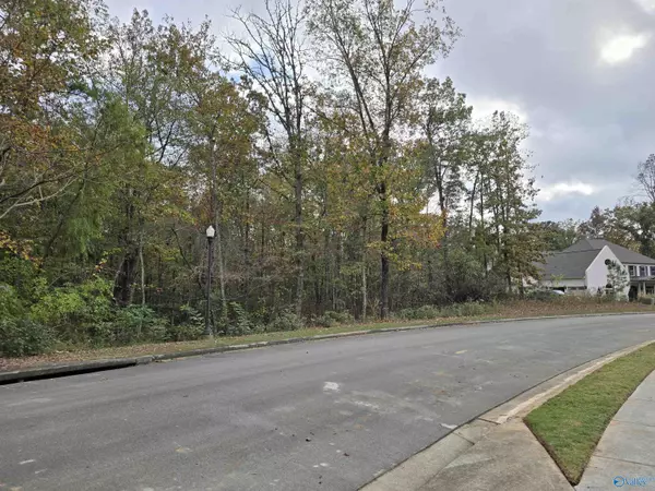 Huntsville, AL 35803,19 Winter Walk Way