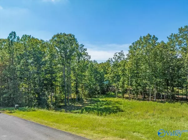 Union Grove, AL 35175,Lot 525/526 Falling Leaf Lane