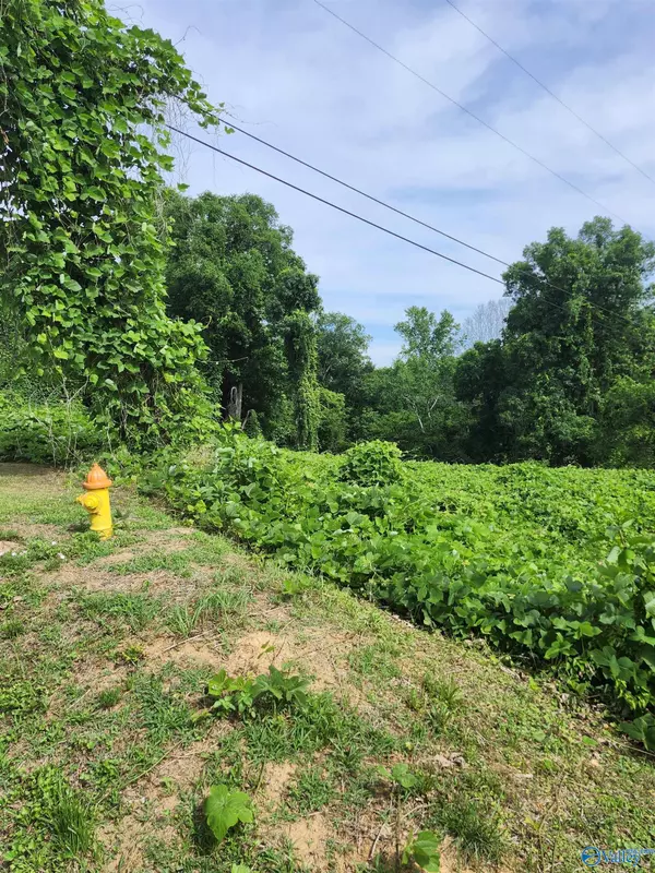 Graysville, AL 35073,894 9th Avenue