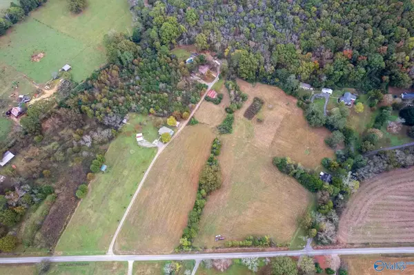 Scottsboro, AL 35768,44 ac Old Larkinsville Road