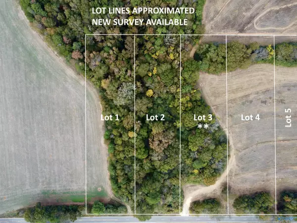 Langston, AL 35755,3 County Road 67