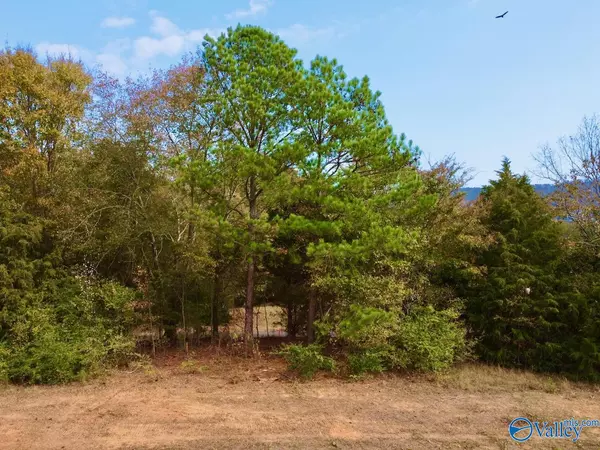 Langston, AL 35755,3 County Road 67