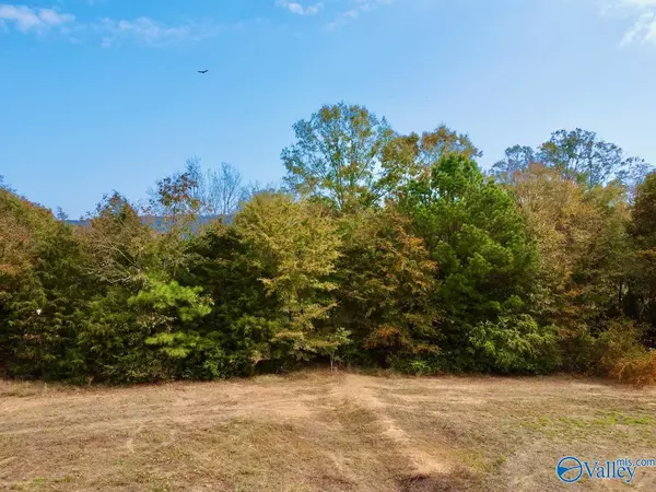 Langston, AL 35755,9 Cemetary Road