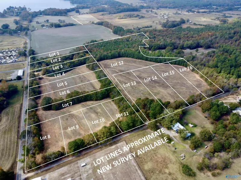 11 Cemetery Road, Langston, AL 35755