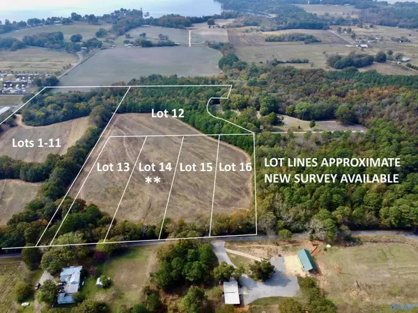 Langston, AL 35755,14 Cemetery Road