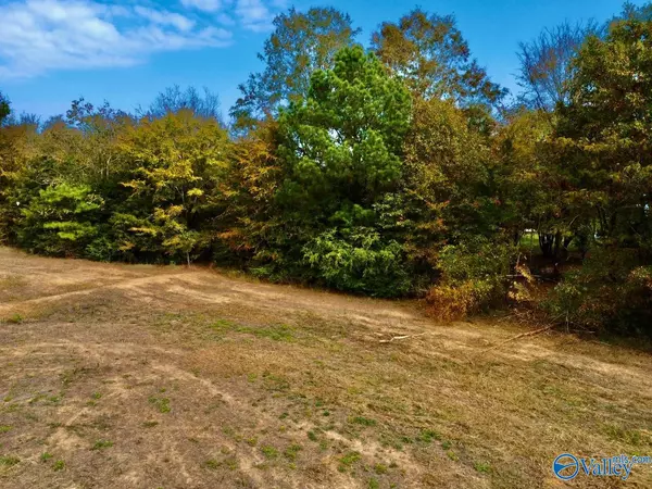 Langston, AL 35755,15 Cemetary Road