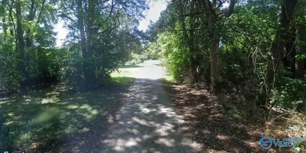 Lot 56 & 54.01 W Main Avenue, Decatur, AL 35603