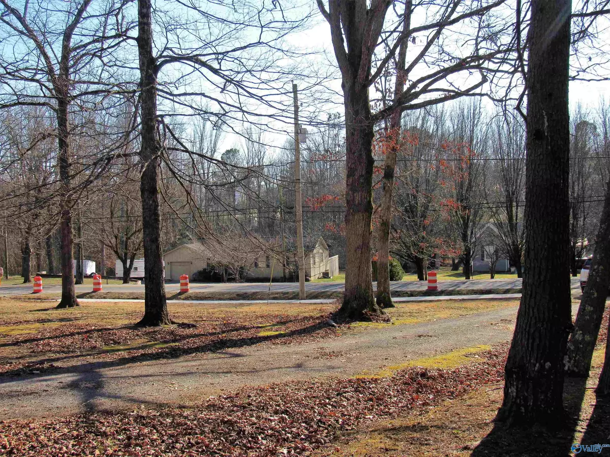 Mentone, AL 35984,Lot 4 Alabama Highway 117