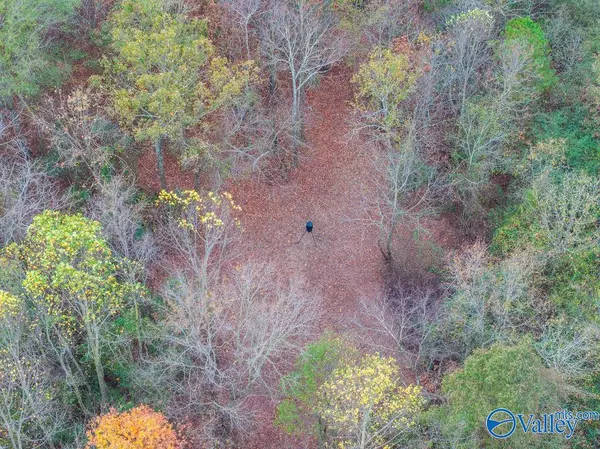 Blountsville, AL 35031,14.62 AC Highway 231