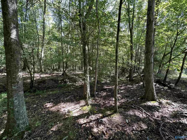 New Market, AL 35761,304 Arnold Road