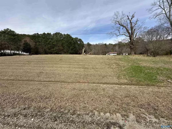 Grant, AL 35747,27590 US Highway 431