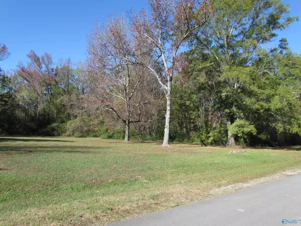 Lot 14 Tim Avenue, Priceville, AL 35601