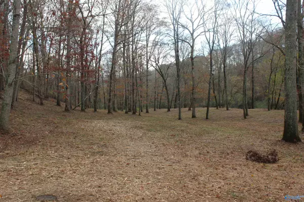 Geraldine, AL 35974,5.71 Hwy 75