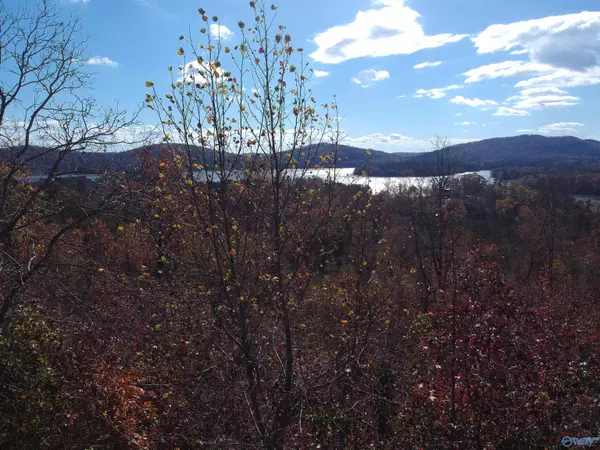 Southside, AL 35907,58 Raymond Lane