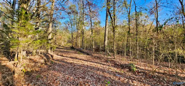 8 +/- Acres Browns Valley Road, Guntersville, AL 35976