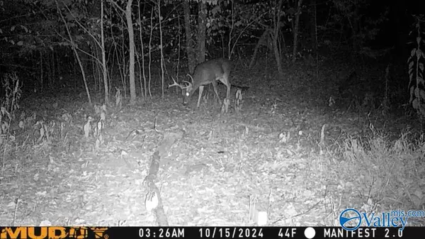 8 +/- Acres Browns Valley Road, Guntersville, AL 35976