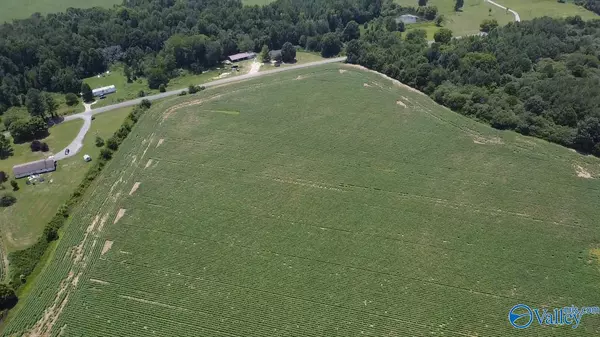 Section, AL 35771,Lot 9 County Road 68