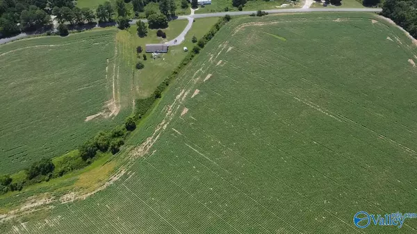 Section, AL 35771,Lot 9 County Road 68