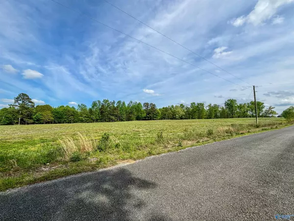 12 Acres County Road 318, Dawson, AL 35963