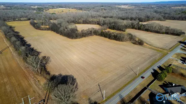 271+/- acres Joe Quick Road, Hazel Green, AL 35750