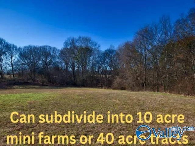 271+/- acres Joe Quick Road, Hazel Green, AL 35750