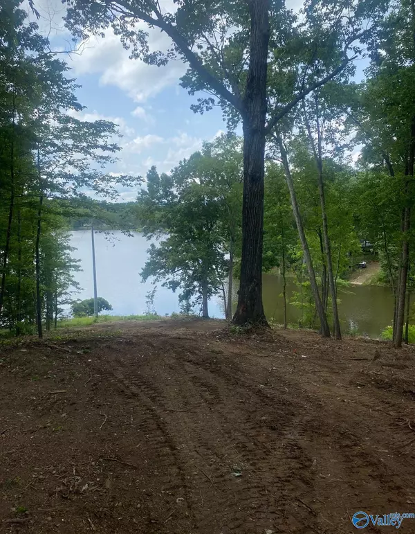 Lot 2060 County Road 182, Cedar Bluff, AL 35959