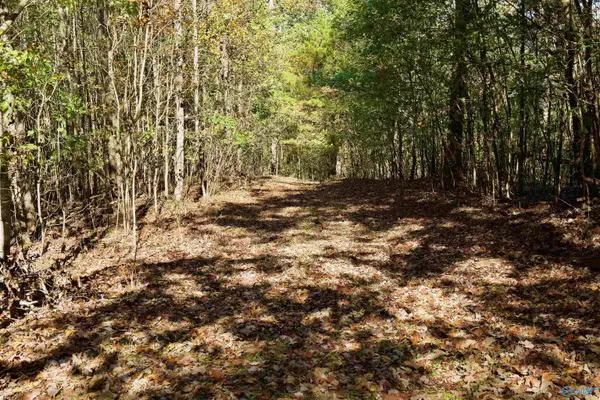 Cordova, AL 35550,164 acres Old Baltimore Road