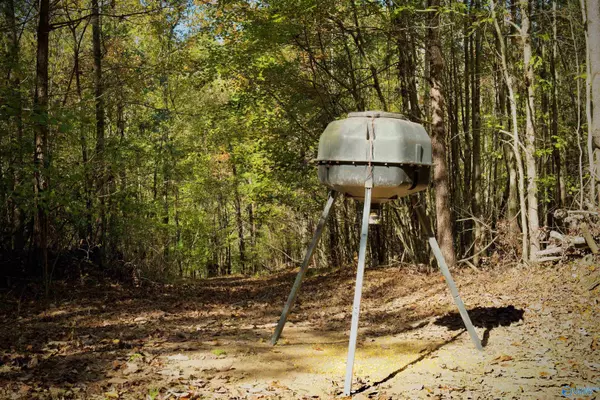 Cordova, AL 35550,164 acres Old Baltimore Road