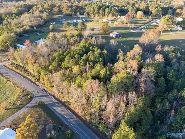 Joppa, AL 35087,693 County Road 1807